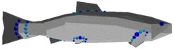 Gem Salmon