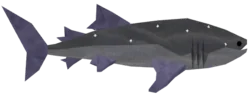 Gemstone Whale Shark