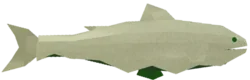 Ghoulfish