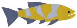 Golden Dorado