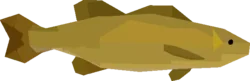 Golden Smallmouth Bass