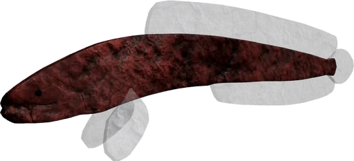 Gollum Snakehead