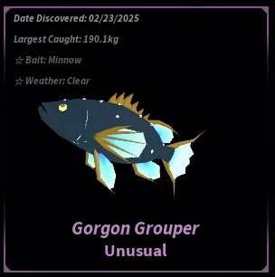 Gorgon Grouper
