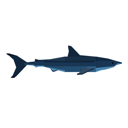 Great White Shark