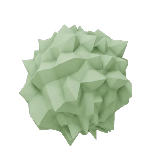 Green Sea Urchin