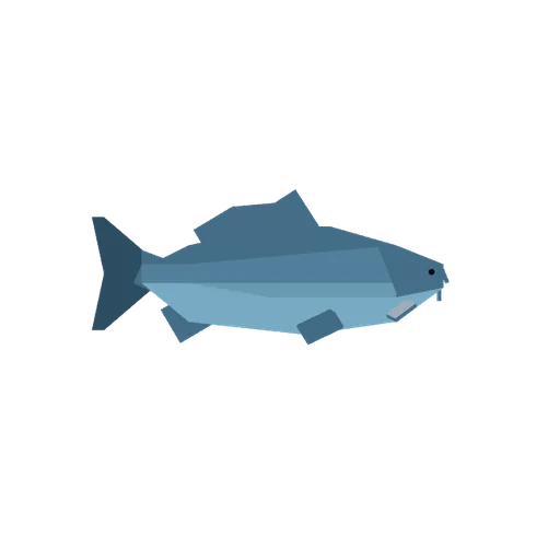 Grey Carp