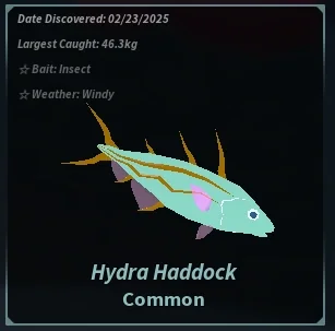 Hydra Haddock