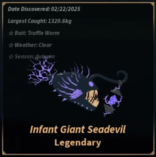 Infant Giant Seadevil