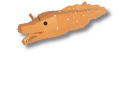 Japanese Dragon Eel