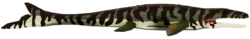 Jurassic Mosasaurus