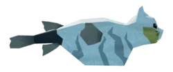 Kittyfish