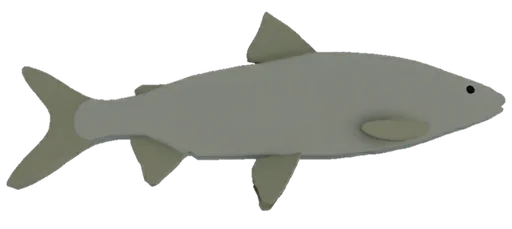 Lake Whitefish