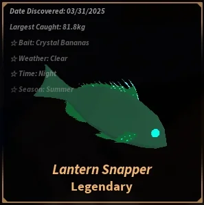Lantern Snapper