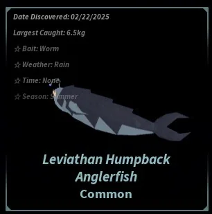 Leviathan Humpback Anglerfish