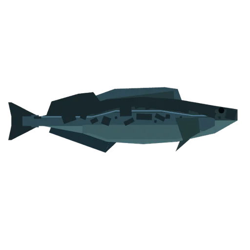Lingcod