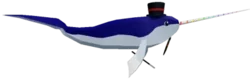 Magician Narwhal