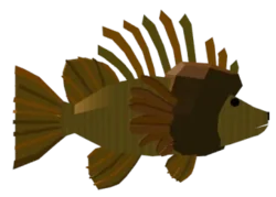 Mained Lionfish