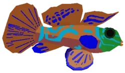 Mandarinfish