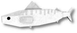 Marshmallow Mackerel