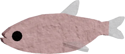 Mexican Tetra