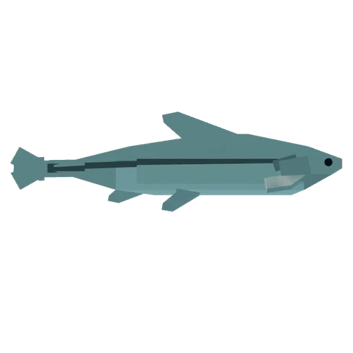 Minnow
