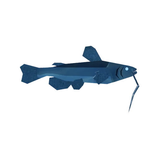 Moonridge Catfish