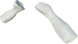 Mossjaw Scapula