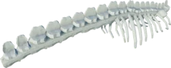 Mossjaw Spine