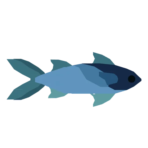 Mullet