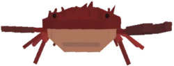 Mushgrove Crab