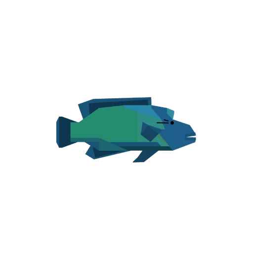 Napoleonfish