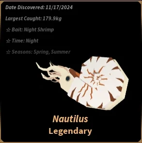 Nautilus