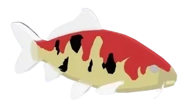 Nectar Koi