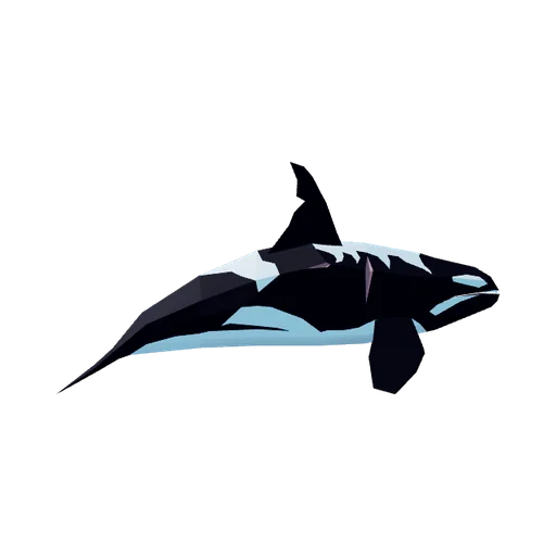 Orca