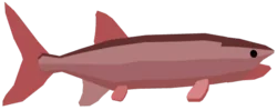 Oreochima