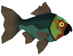 Parrotfish