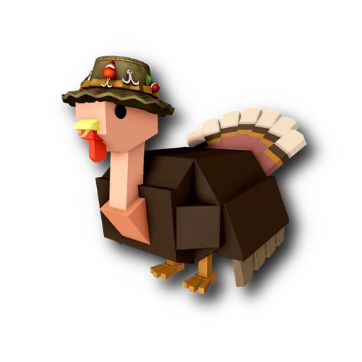 Pioneer Turkey
