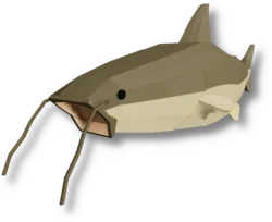 Piraiba