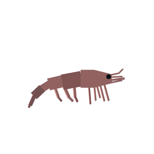 Prawn