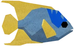 Queen Angelfish