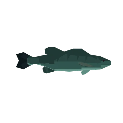 Redeye Bass