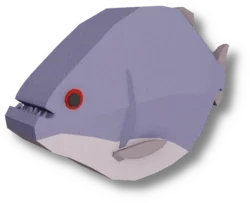 Redeye Piranha