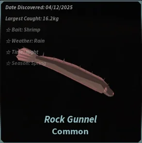 Rock Gunnel