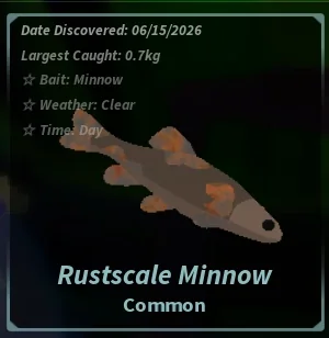 Rustscale Minnow