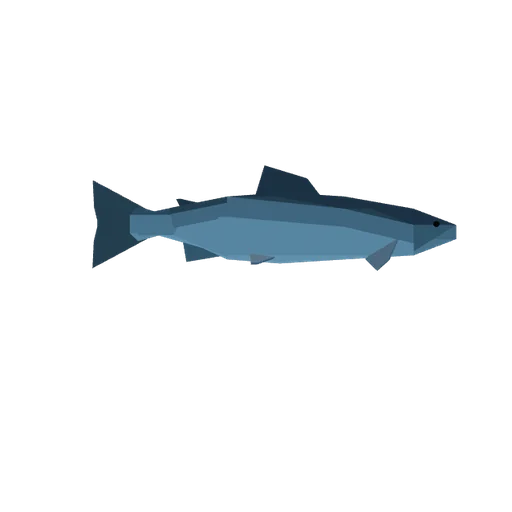 Salmon