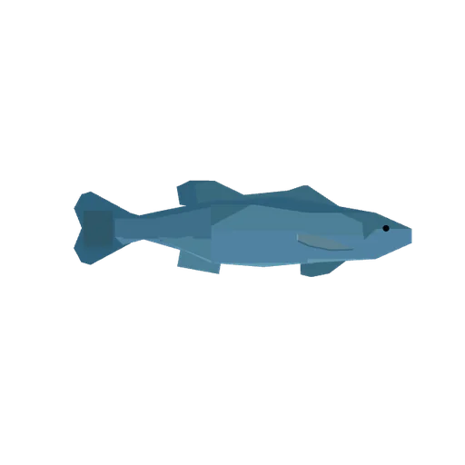 Sea Bass