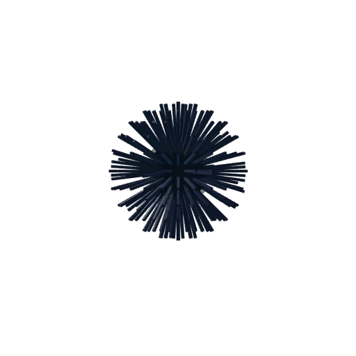 Sea Urchin