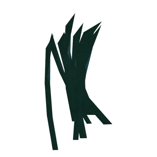 Seaweed