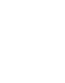 Shadow Egg