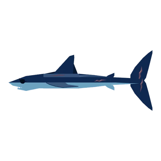 Shortfin Mako Shark